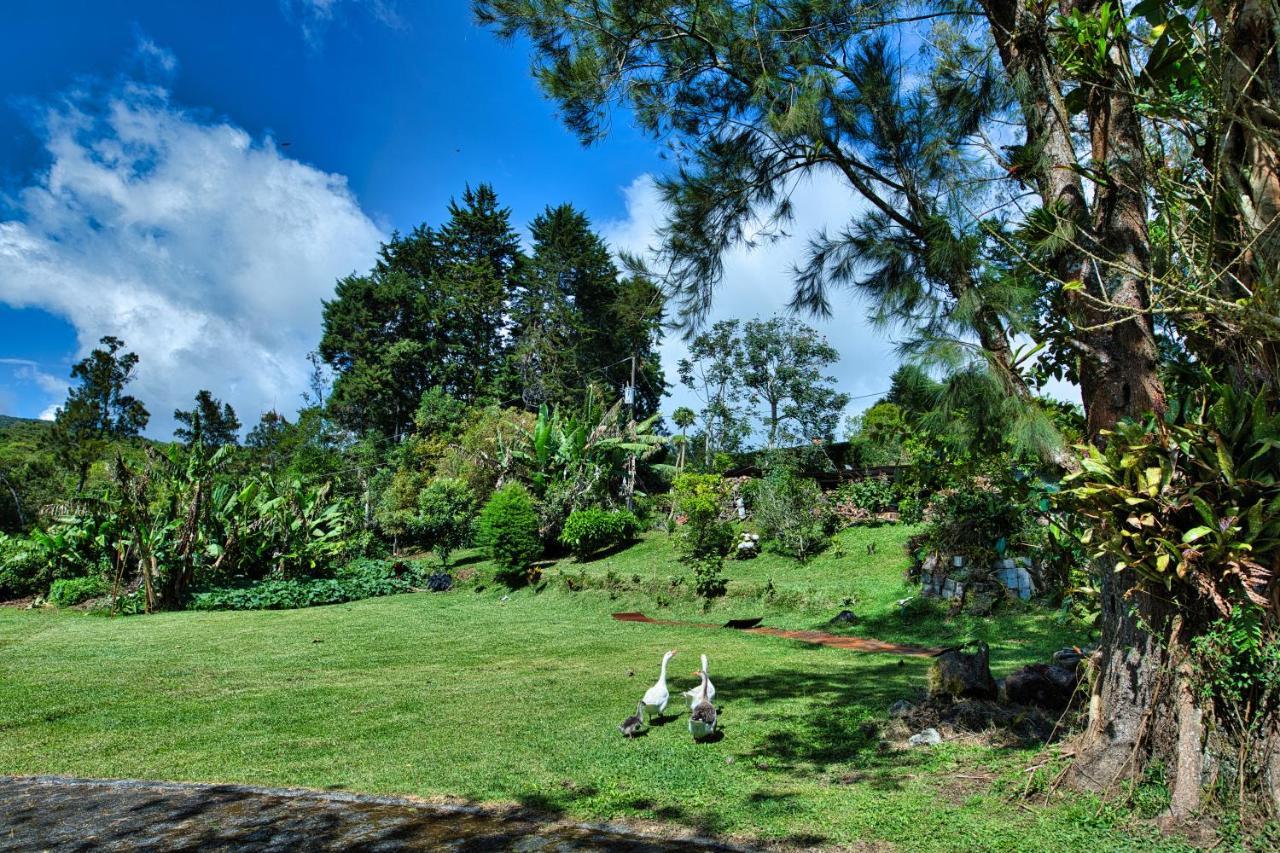 Hotel Villa Zurqui San Isidro  Eksteriør billede