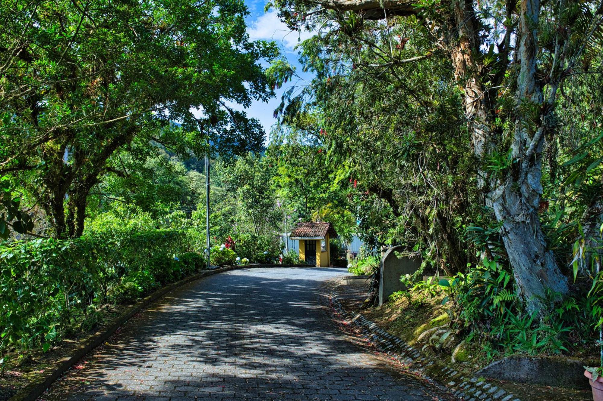 Hotel Villa Zurqui San Isidro  Eksteriør billede