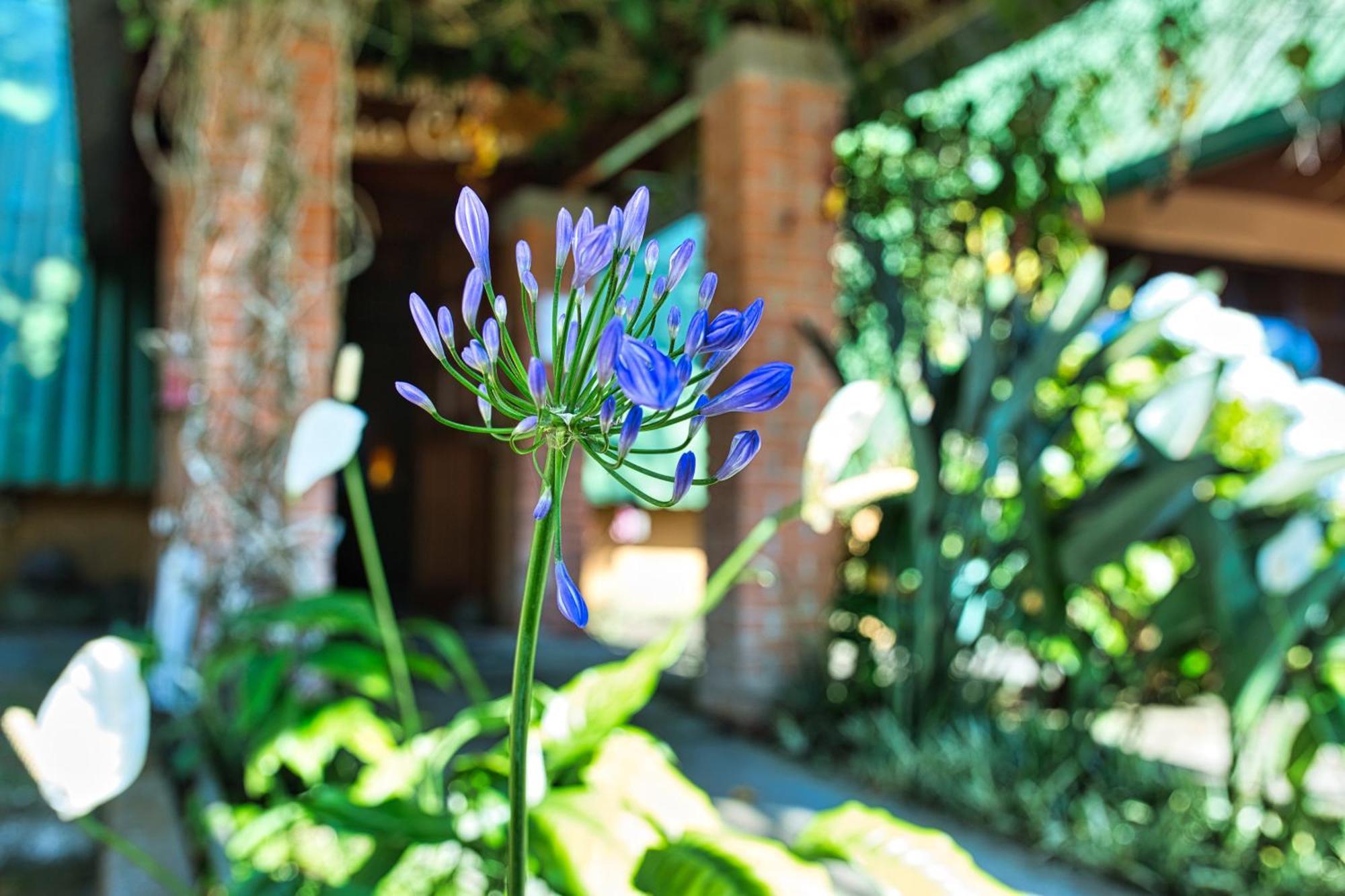 Hotel Villa Zurqui San Isidro  Eksteriør billede